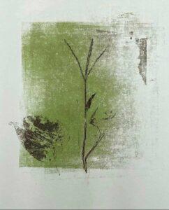 workshop monotype