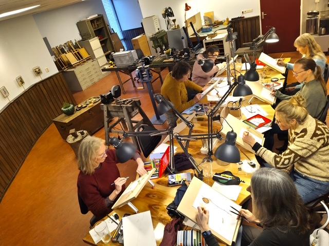 Botanisch tekenen Darp